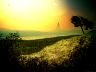 home_land_1600.jpg