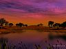 late_afternoon_1024.jpg