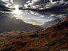 sahara_after_rain.jpg