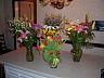 p3040020.jpg