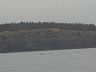 v045.jpg