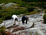 v089.jpg