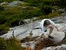 v090.jpg